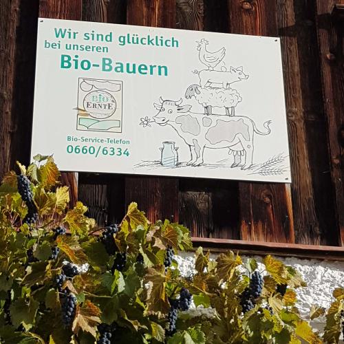 Bio-Bauernhof
