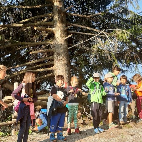 Wandertag 3