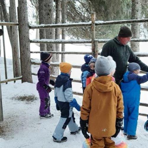 Wildfütterung 1. Schulstufe 8