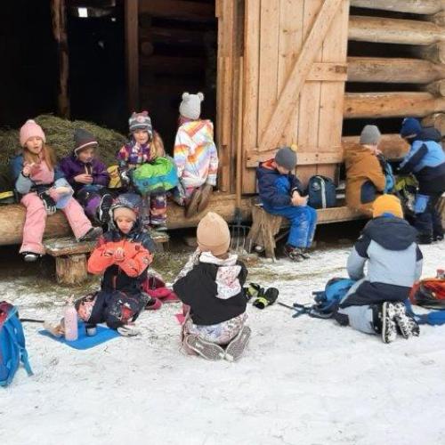 Wildfütterung 1. Schulstufe 5