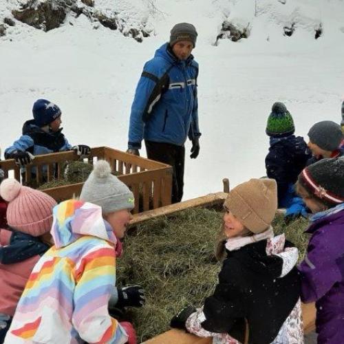 Wildfütterung 1. Schulstufe 7