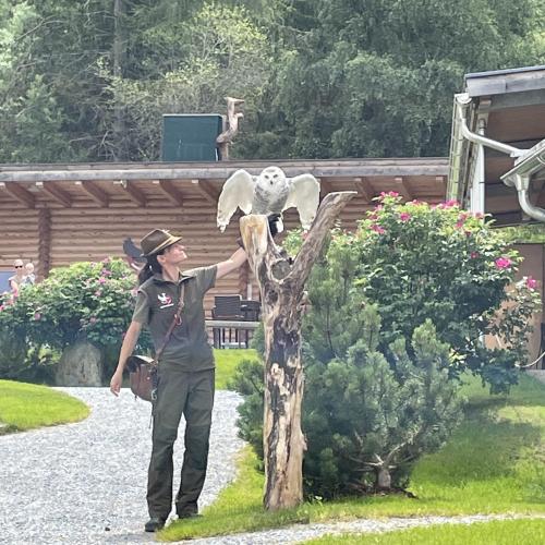 Greifvogel-Schau 2