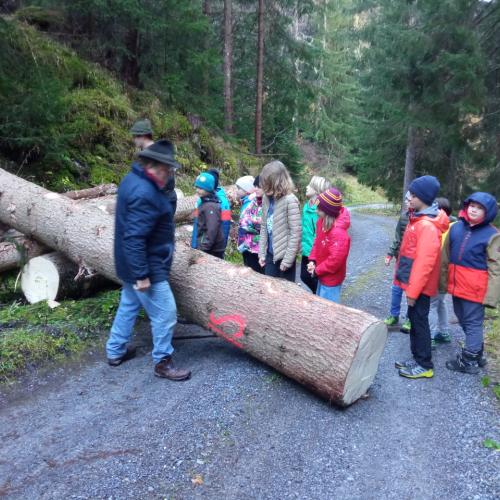 Baum fällen 2