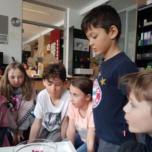 Wasser-Experiment