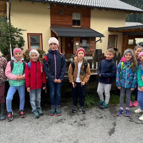 3. Schulstufe 
