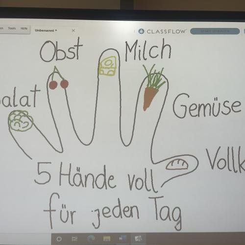 Workshop 5