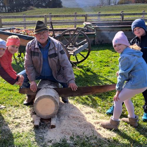 Baumscheiben schneiden 2