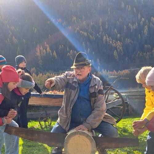 Baumscheiben schneiden 1