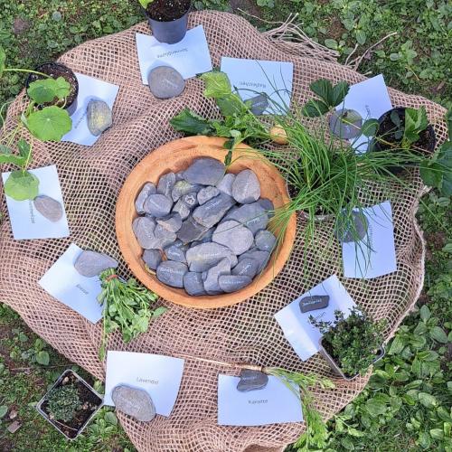 Gartenkistle 2