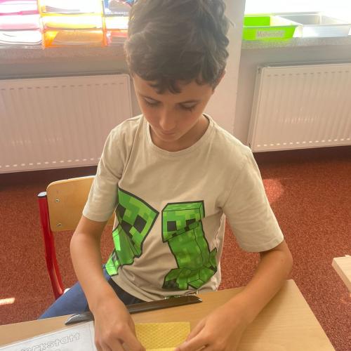 Bienenprojekt 18