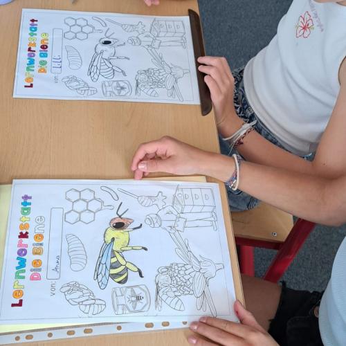 Bienenprojekt 5