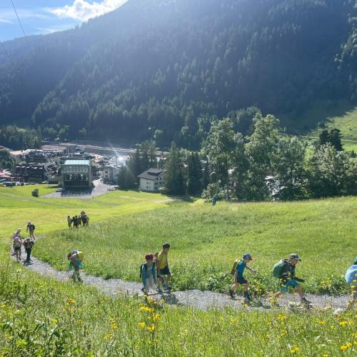 Weg übers Moos