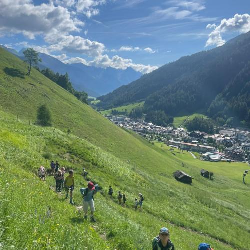 Weg übers Moos 1