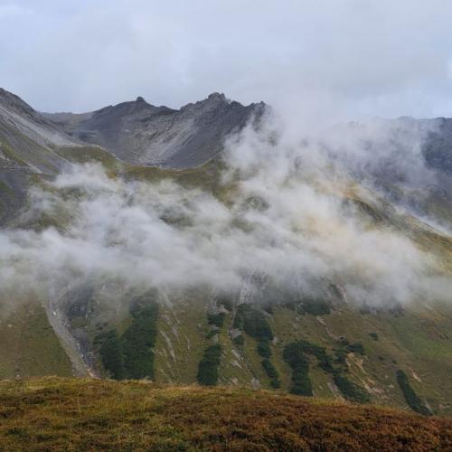 Nebel
