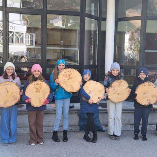 Baumscheiben schneiden 7