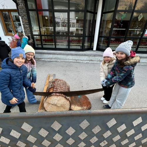 Baumscheiben schneiden 2