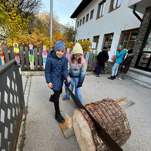 Baumscheiben schneiden 3
