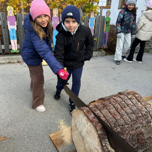 Baumscheiben schneiden 5