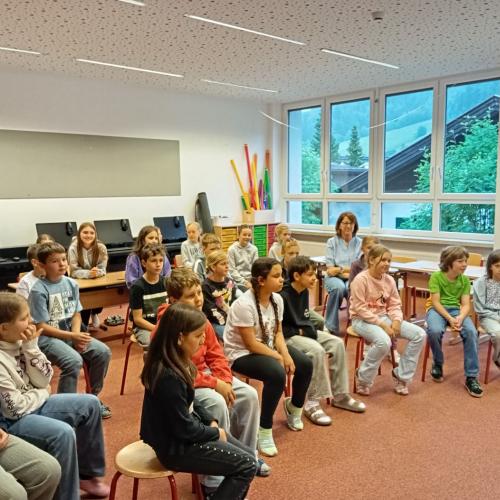 Die Vielsaitigen