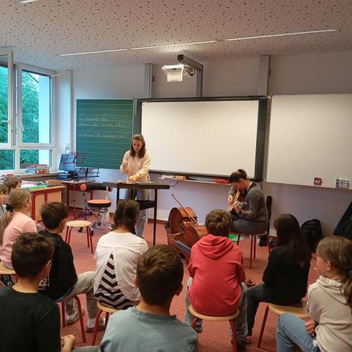 Die Vielsaitigen 2