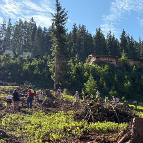 Bäume pflanzen 5