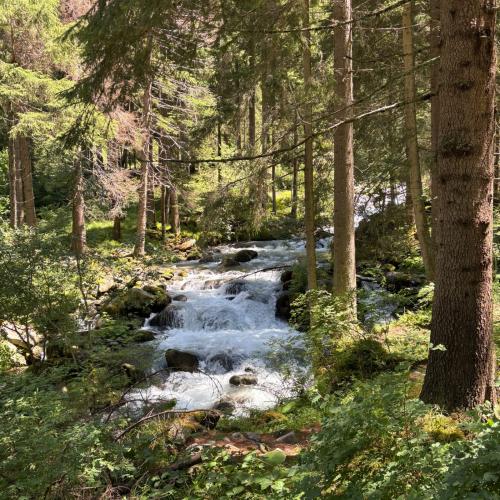 Wanderung