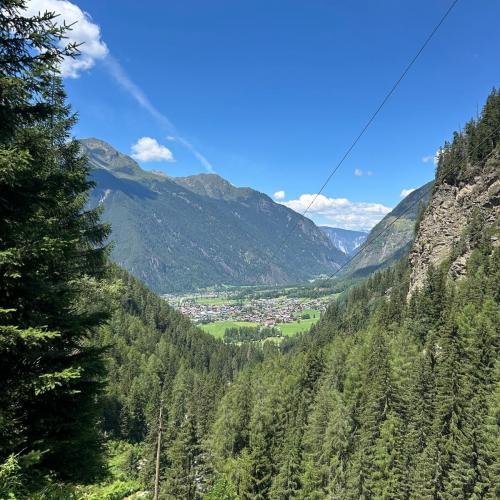 Ausblick 