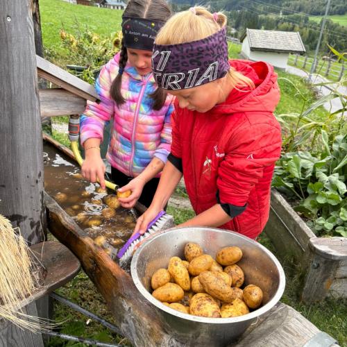Kartoffeln waschen 1