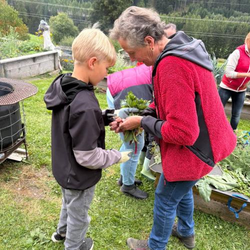Kräuter binden 